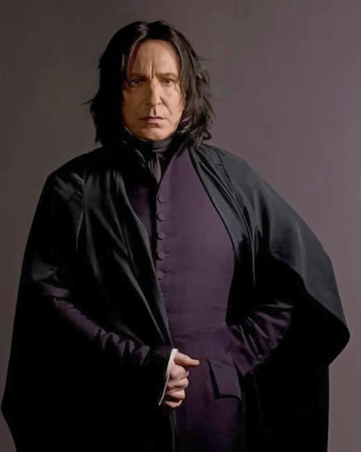 Severus Snape Harry Potter - Paint By Numbers - Paint by numbers for adult