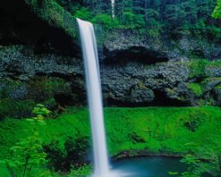 Silver Falls State Park paint by number