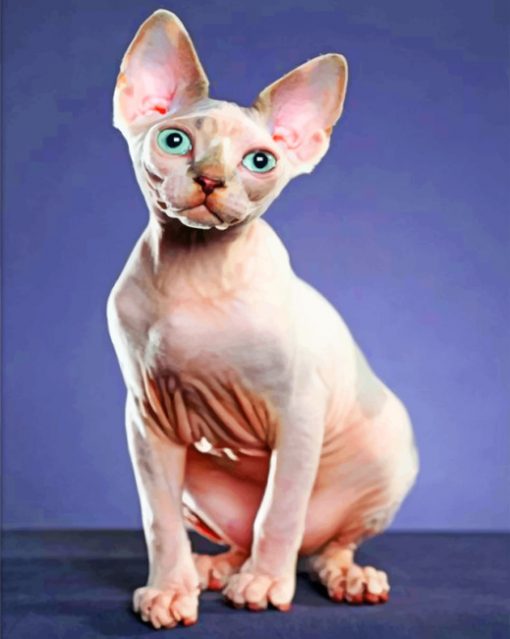 Sphynx Cat paint by numbers