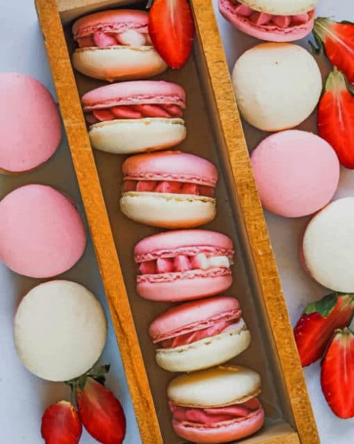 Strawberry Macarons paint by numbers