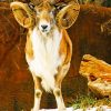 Urial Animal paint by numbers