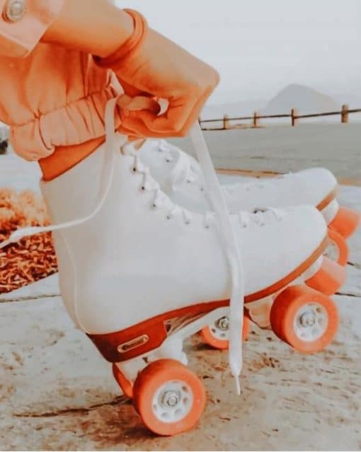 Aesthetic Vintage Roller Skates paint by numbers