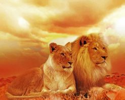 African Lions paint by number