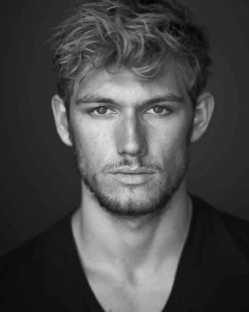 Alex Pettyfer Actor Paint by numbers