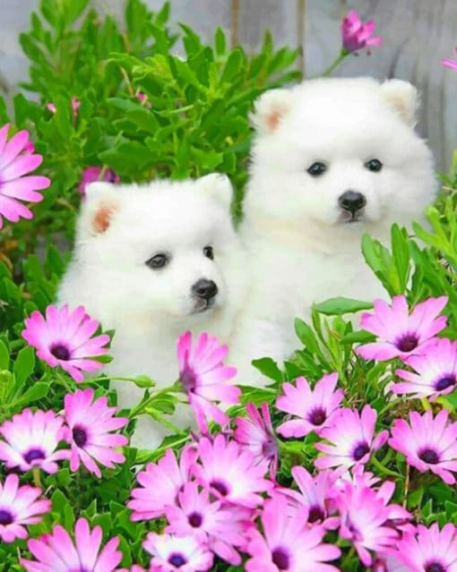 American Eskimo Dog With Daisy Flowers paint by numbers
