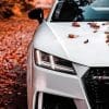 Audi TT paint by numbers