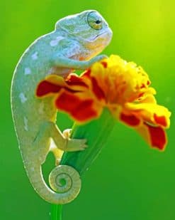 Baby Chameleon paint by numbers