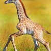 Baby Giraffe paint by numbers