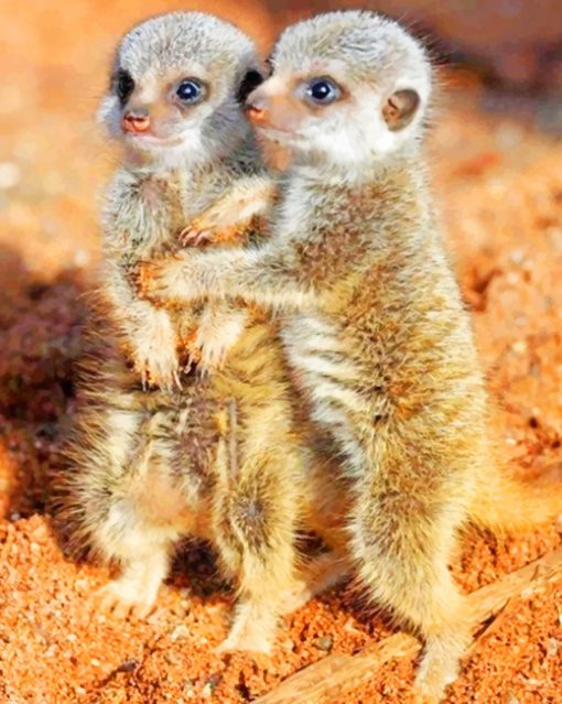Meerkats Babies paint by numbers
