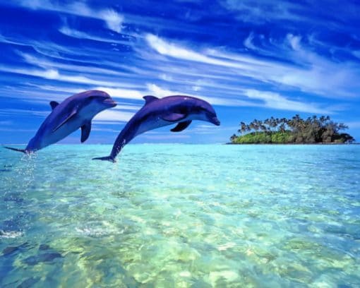 Beautiful Dolphins Calm Sea paint by number