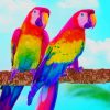 Beautiful Rainbow Colorful Parrots paint by numbers