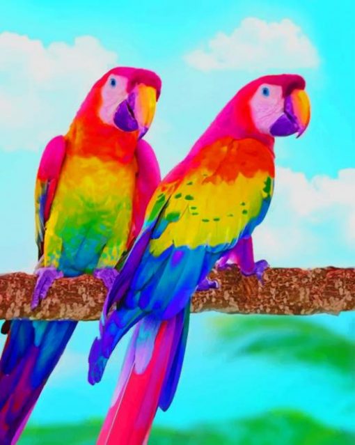 Beautiful Rainbow Colorful Parrots paint by numbers
