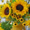 Black Eyed Susan And Sunflower paint by numbers