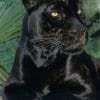 Black Panther Animal paint by numbers