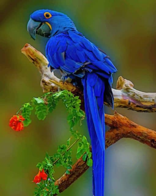 Blue Macaw On Tree paint by numbers