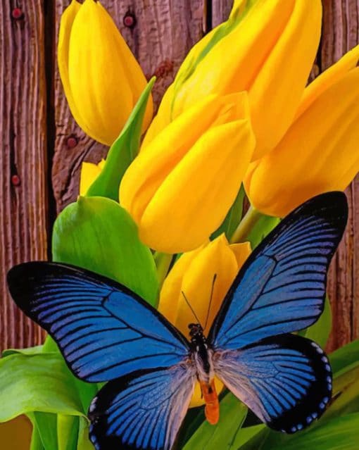 Blue Butterfly On Yellow Tulips paint by numbers