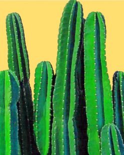 Cactus Plants paint by numbers