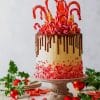 Candy Cane Christmas Cake painnt by numbers