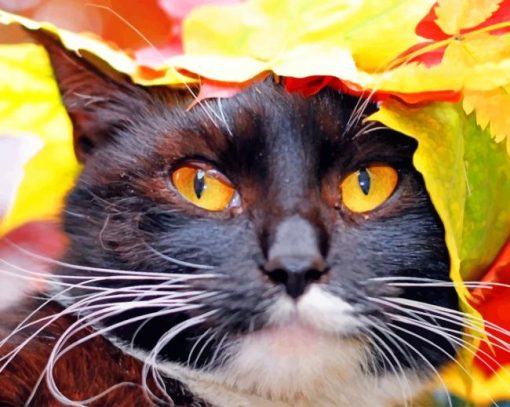 Cat With Autumn Leaves paint by number