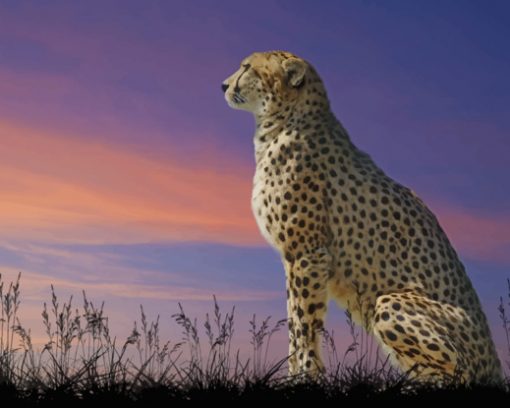Cheetah Wildlife Paint by number