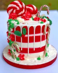 Christmas Cake paint by numbers