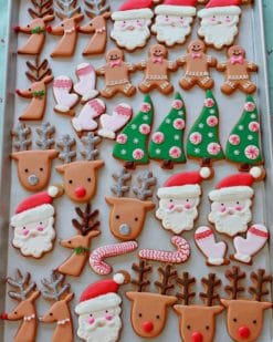 Christmas Cookie Decorating paint by numbers
