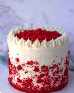 Classic Red Velvet Cake paint by numbers
