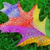 Colorful Leaf paint by number