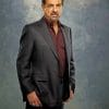 Criminal Mind David Rossi paint by numbers