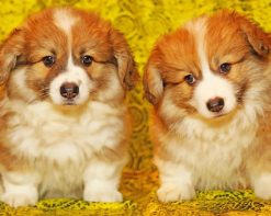Cute Puppies paint by number