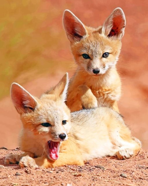 Cute Twins Fox paint by numbers