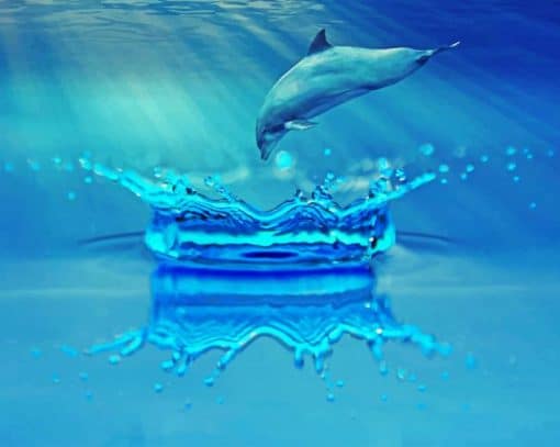 dolphin Jumping In Water paint by number