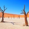 Deadvlei In Namibia paint by number