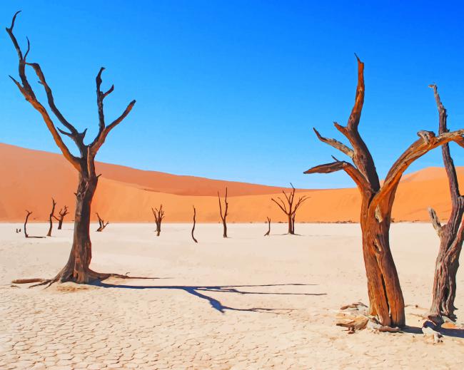 Deadvlei In Namibia paint by number