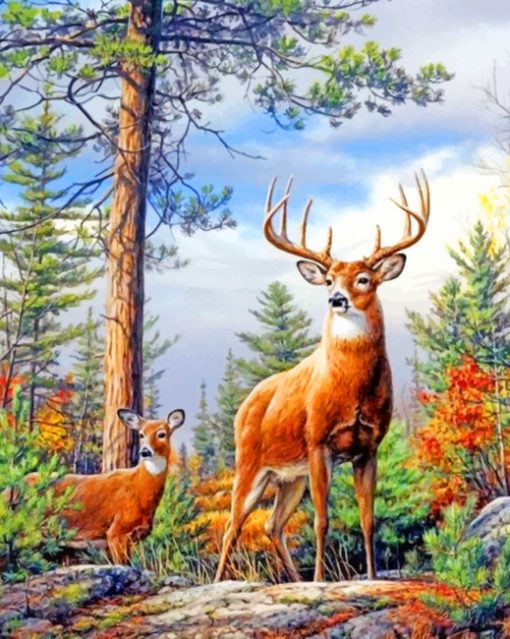 Deers In Forest paint by numbers