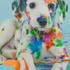 Colorful Dalmatian paint by numbers