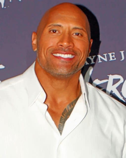 Dwayne Johnson paint by numbers
