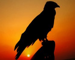 Falcon Bird Silhouette paint by number