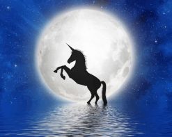 Full Moon Unicorn Silhouette paint by number