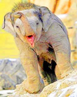 Funny Baby Elephant paint by numbers