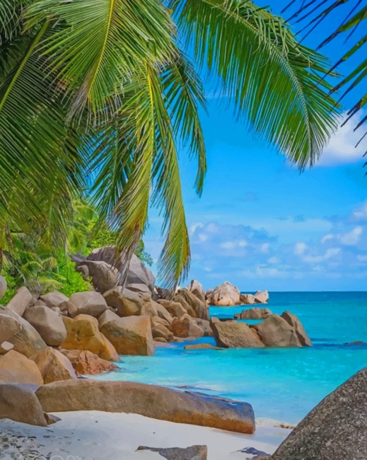 Anse Georgette Beach Seychelles paint by numbers