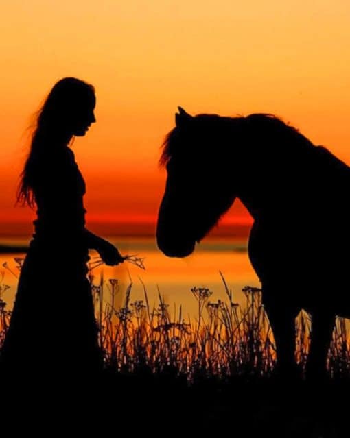 Girl With Her Horse Silhouette paint by numbers