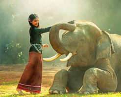 Girl With Elephant paint by number