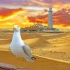 Great Black Backed Gull Bird paint by number