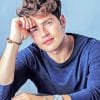 Gregg Sulkin paint by numbers