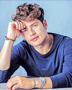 Gregg Sulkin paint by numbers