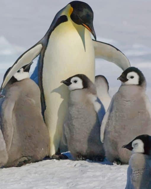 Happy Family Penguin paint by numbers
