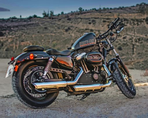 Harley Davidson Forty Eight paint by numbers