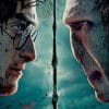 Harry Potter And Lord Voldemort paint by numbers