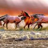 Herd Of Horses In Water paint by number